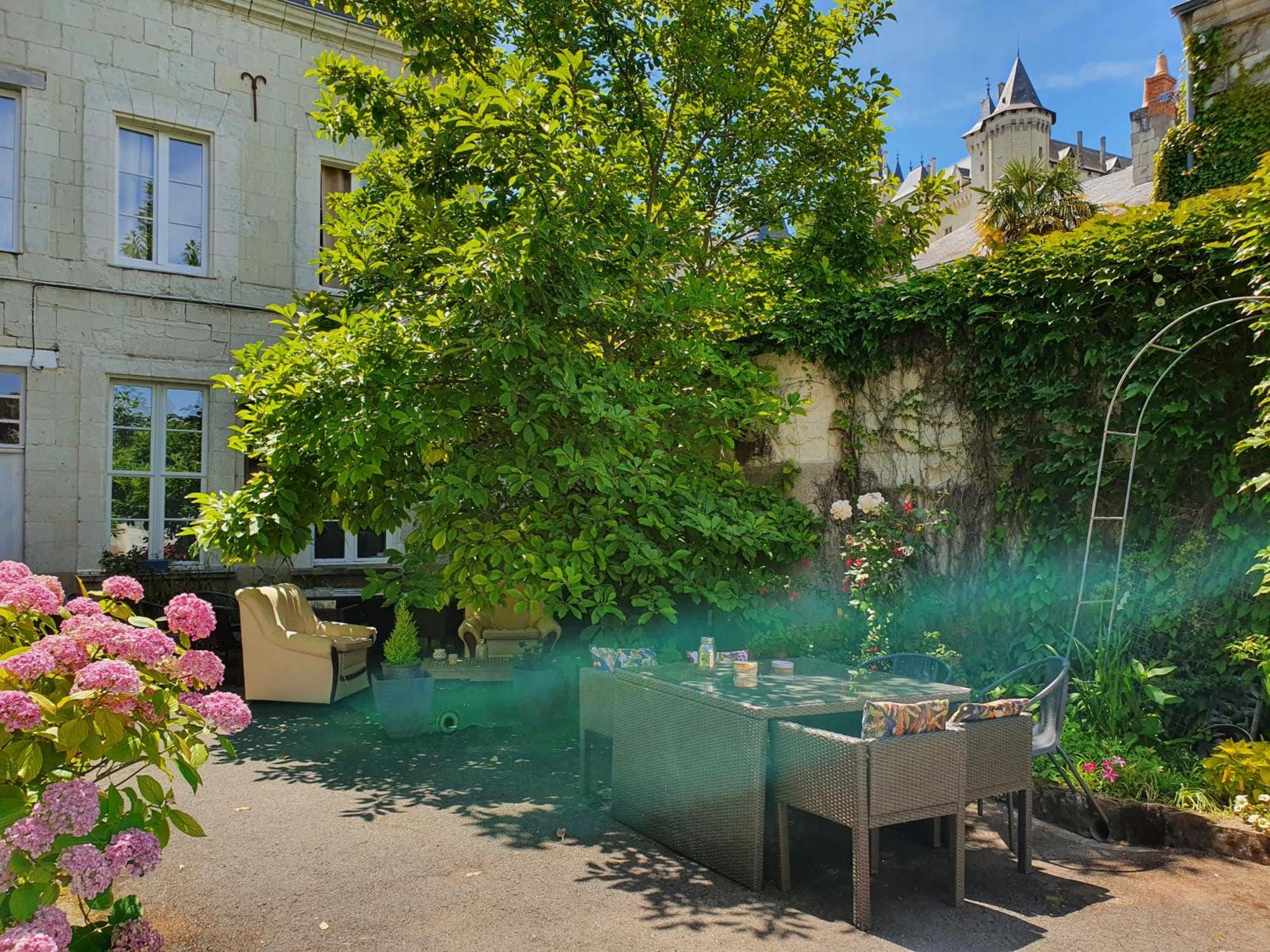 Vue Sur Chateau Et Loire Saumur Zewnętrze zdjęcie